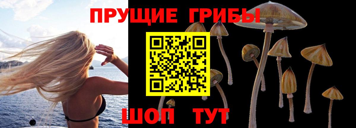 Галлюциногенные грибы MAGIC MUSHROOMS Королёв